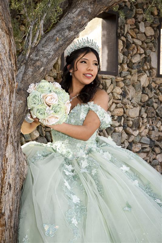 Fotos para quince años Phoenix AZ